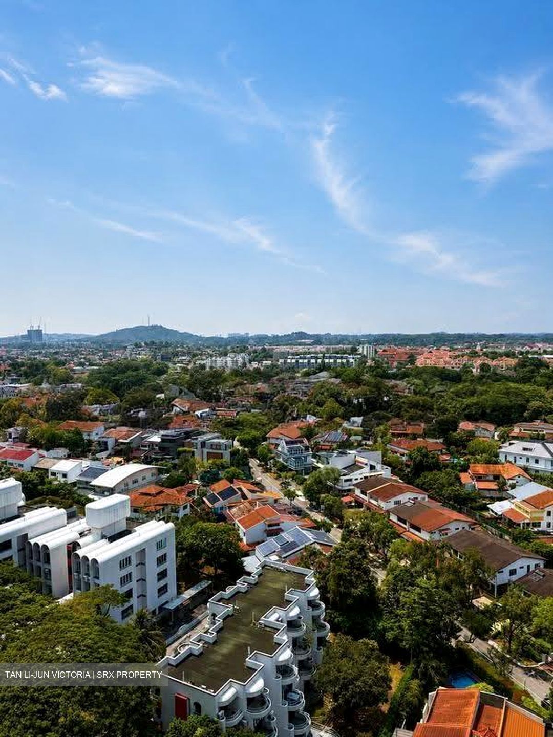 D'Leedon (D10), Condominium #619073721